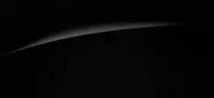 Beluga (Solid)